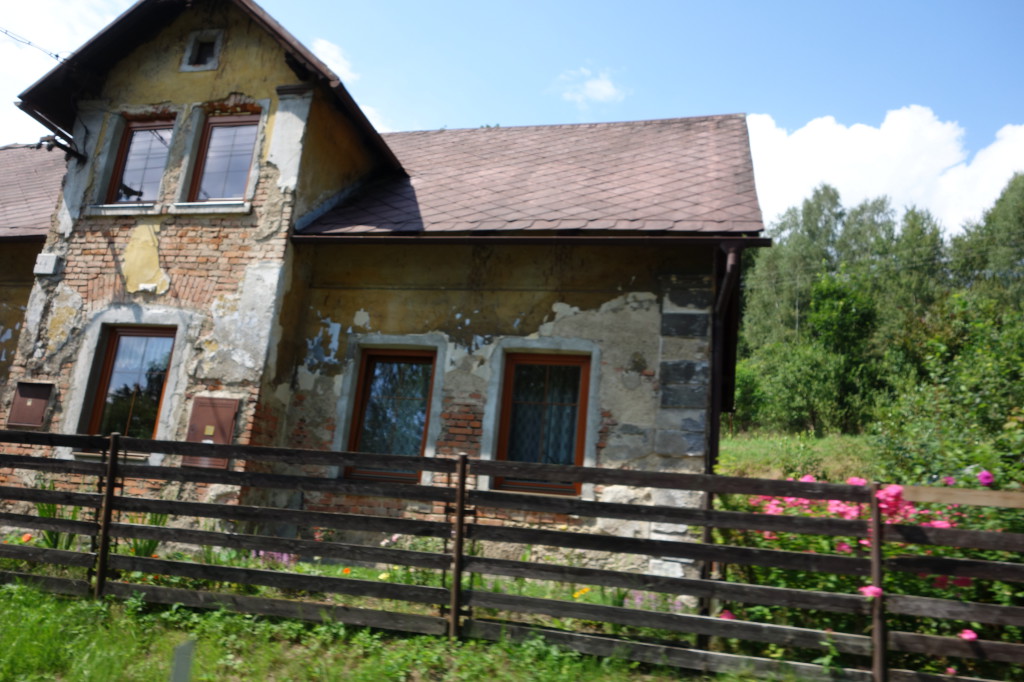 DSC03365